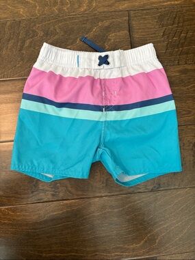 Boys' Turquoise & Pink Stripe Swim Trunks